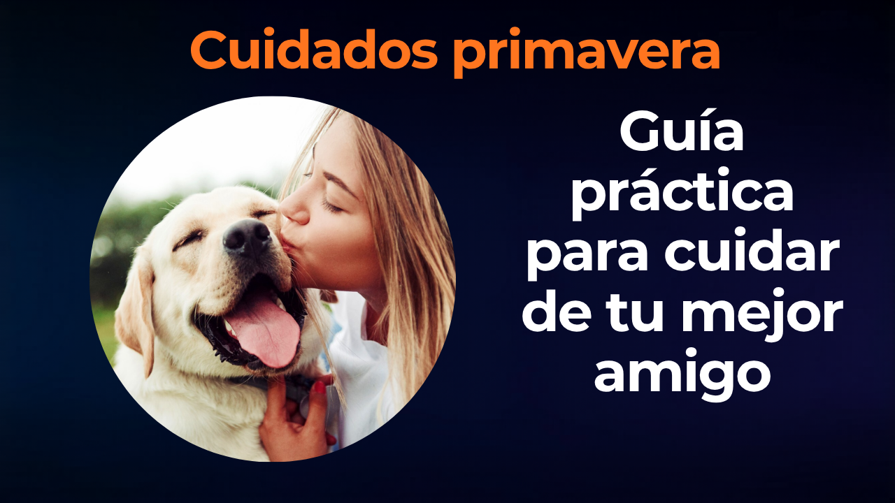 Guía completa de salud para mascotas en primavera