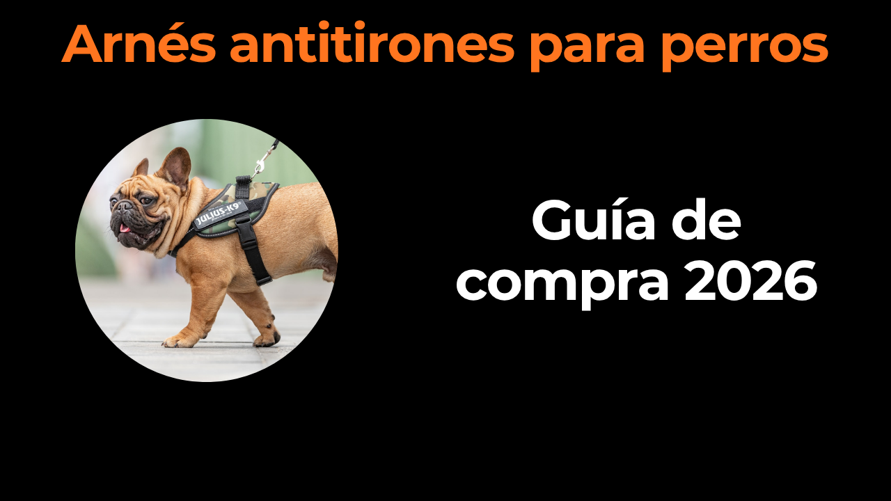 Arnés antitirones para perros: la mayoría no lo es de verdad