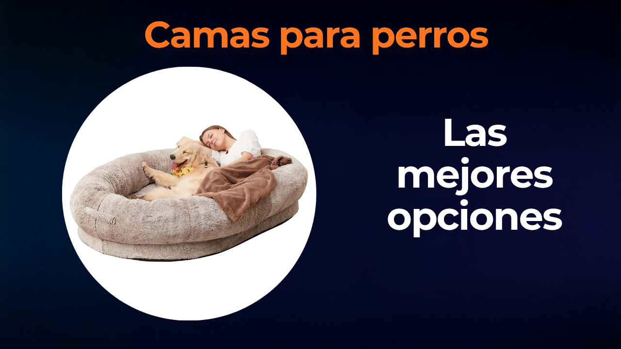 Mejor cama para perros 2026: guía de compra con los más vendidos de Amazon