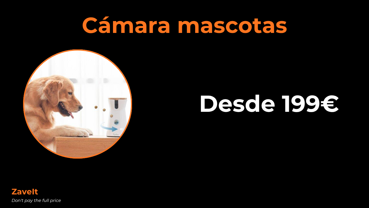 Mejor cámara para vigilar a tu mascota en 2026