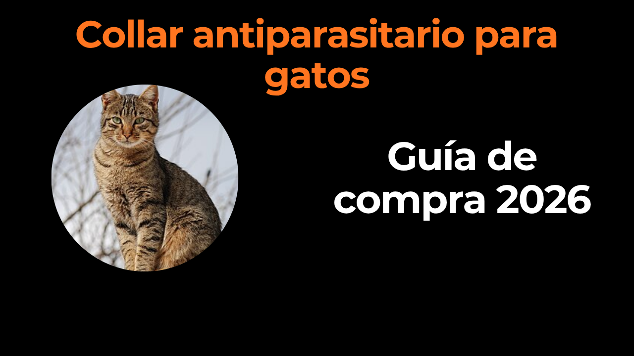 Collar antiparasitario para gatos: cuidado con Kiltix