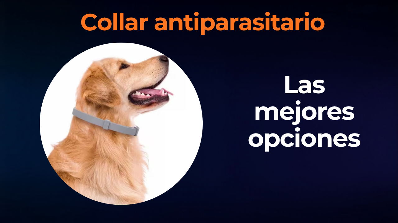 Mejor collar antiparasitario para perros 2026: guía de compra