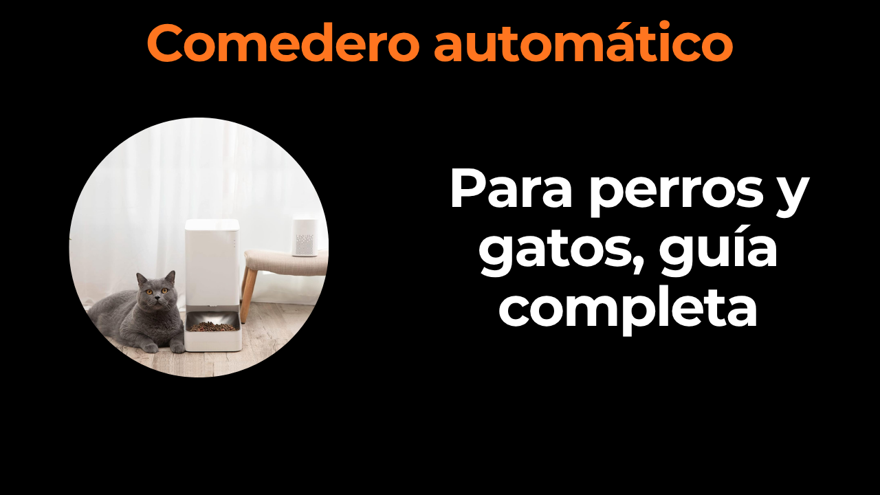 Comedero automático: la diferencia entre 65€ y 130€ es esta