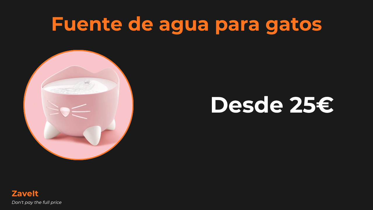 Fuente de agua para gatos: la que sí evita dejar de beber