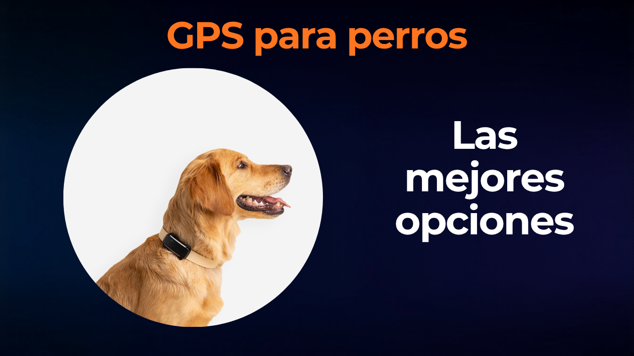 Mejor GPS para perros: guía de compra completa