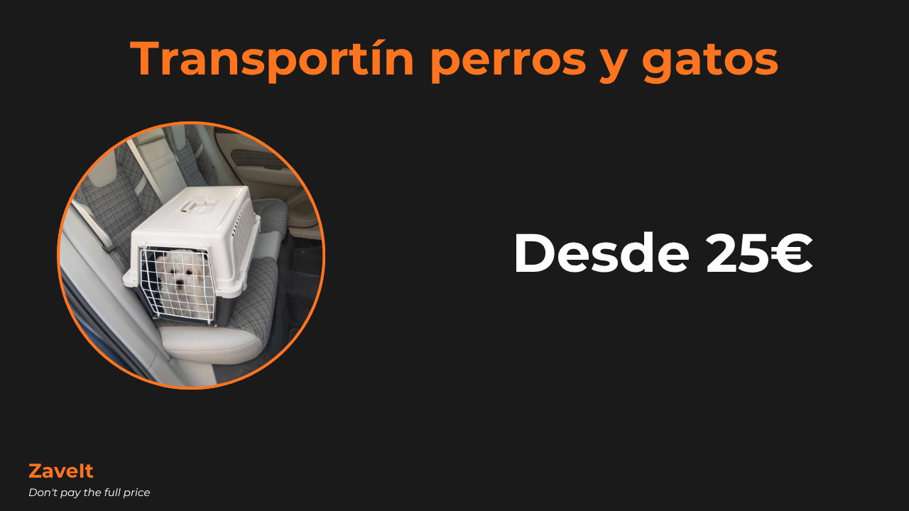 Transportín para perros y gatos: rígido, blando o mochila